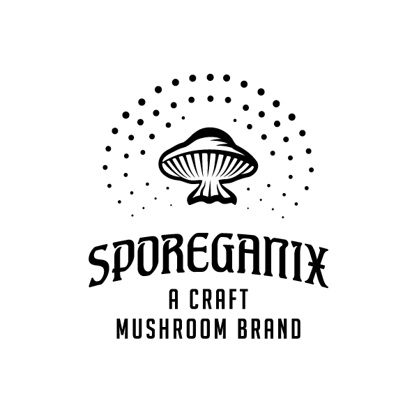 Partner brand 4